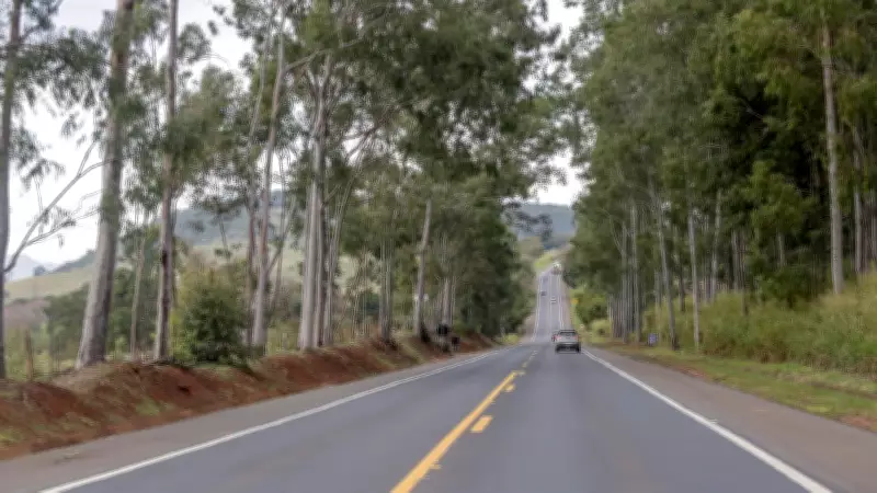 Duplicação da BR-153 no Paraná transforma Norte Pioneiro em corredor logístico estratégico