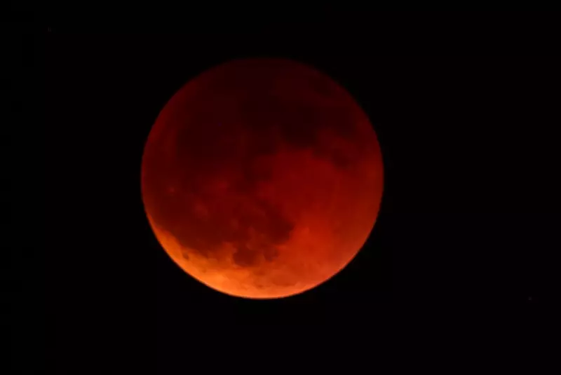 Eclipse lunar total em março: Brasil terá visão limitada da 'Lua de Sangue'