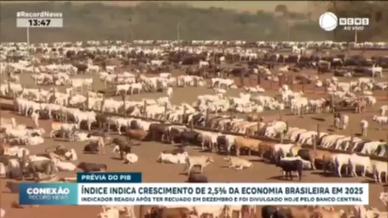 Economia brasileira cresce 2,5% em 2025, apesar de recuo em dezembro