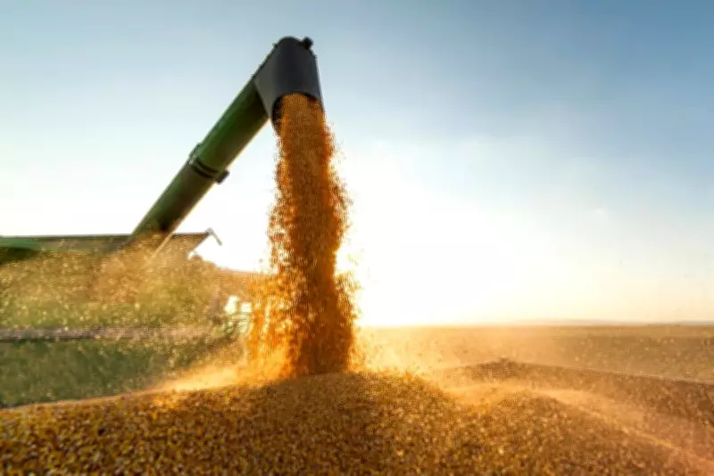 Economia de Mato Grosso mantém crescimento em 2026 apesar de desafios logísticos e internacionais