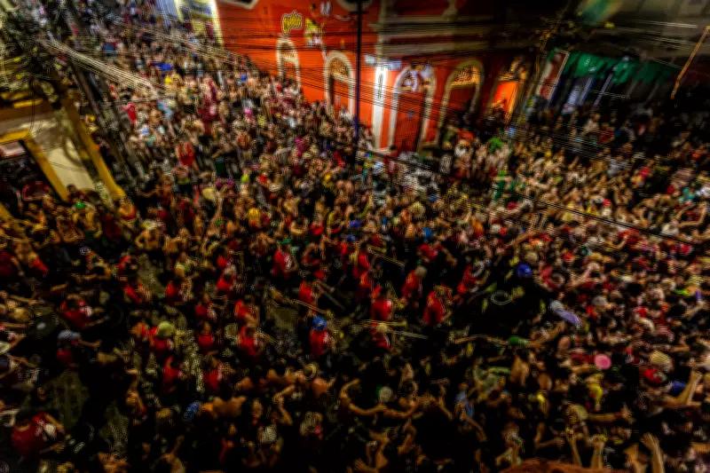 Elefante de Olinda: Hino que virou símbolo do Carnaval completa 70 anos e arrasta multidões