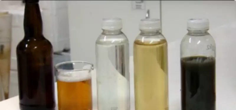 Embrapa transforma dejetos de suínos em água potável e até cerveja artesanal em Concórdia