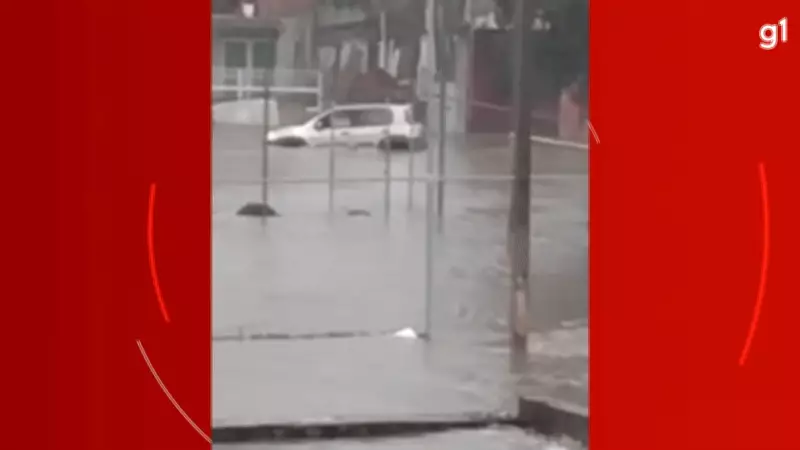 Enchente em Curitiba arrasta carros e deixa rastro de destruição no bairro Fanny