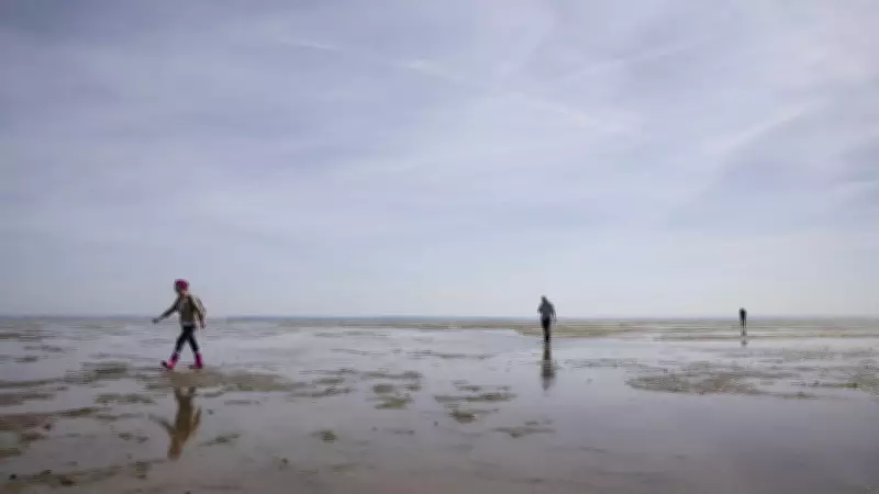 Entregador da Amazon segue rota mais perigosa da Grã-Bretanha após confiar em GPS