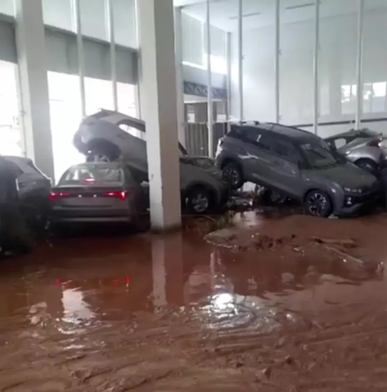 Enxurrada arrasta carros e causa mortes em Ubá, MG; cidade decreta calamidade pública