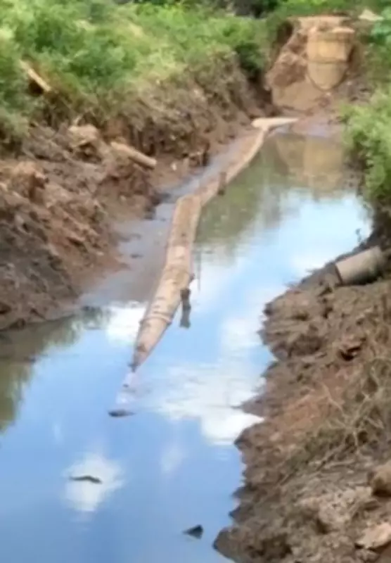 Esgoto a céu aberto em Rafard gera mau cheiro e preocupa moradores há meses
