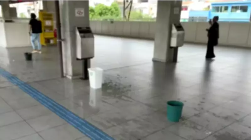 Estação Vila Aurora vira 'cachoeira': goteiras persistem mesmo sem chuva em SP