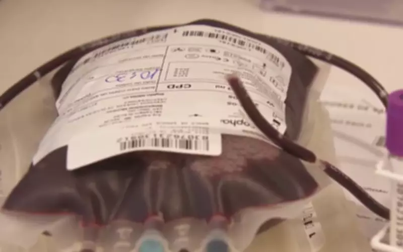 Estoque de Sangue em Estado Crítico em Catanduva (SP) Exige Doações Urgentes