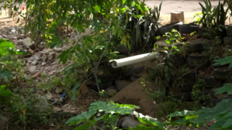 Estudo da UFCG alerta para adequação do Canal das Piabas após mortandade de peixes no Açude Velho