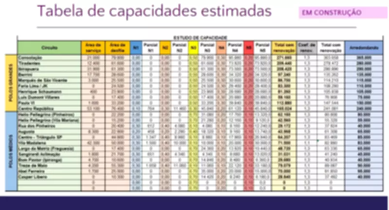 Estudo da USP revela capacidade máxima de 290 mil foliões no Parque Ibirapuera