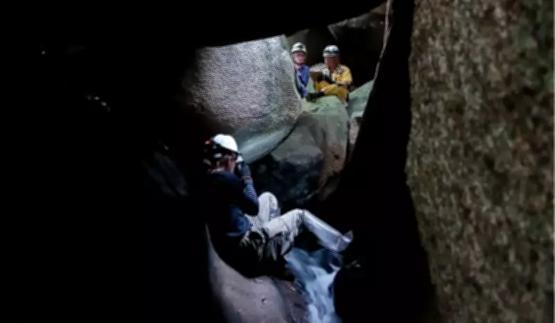 Expedição descobre 7 cavernas inéditas e fauna endêmica na Serra dos Cocais