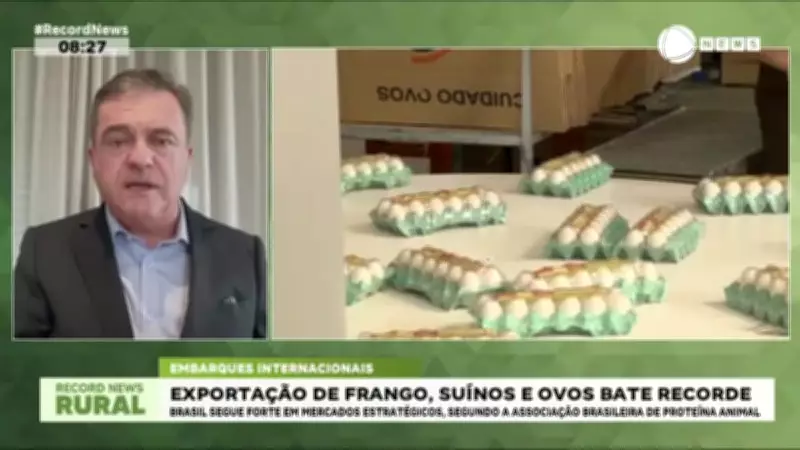 Exportações de frango, suínos e ovos batem recorde histórico em janeiro