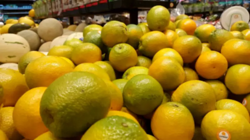 Exportações de suco de laranja reagem em janeiro com alta demanda da UE, aponta Cepea