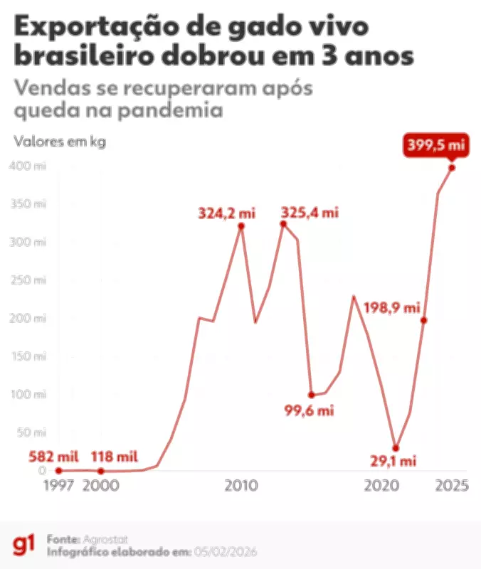 Exportação de gado vivo por navio dobra em 3 anos, apesar de críticas sobre bem-estar animal