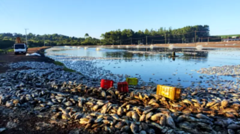 Falha de energia causa morte de 900 mil peixes e prejuízo milionário em Tupãssi