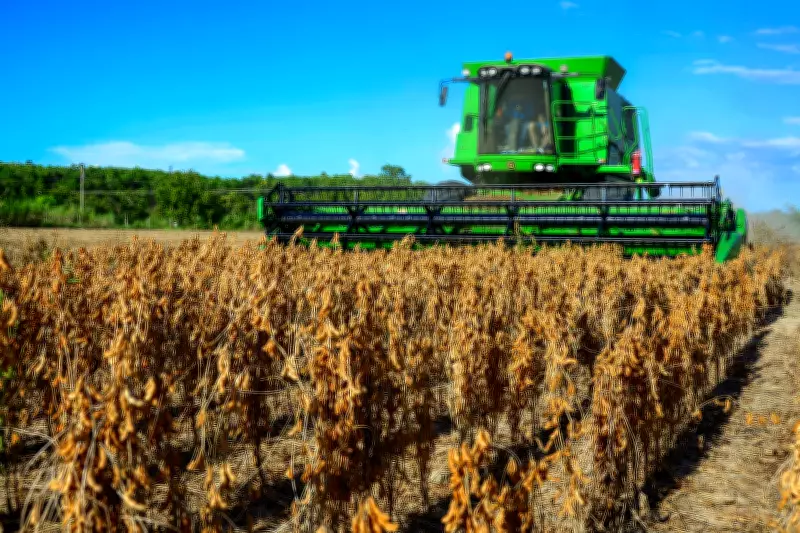 Falências de agricultores nos EUA disparam 46% em 2025 sob pressão do tarifaço de Trump