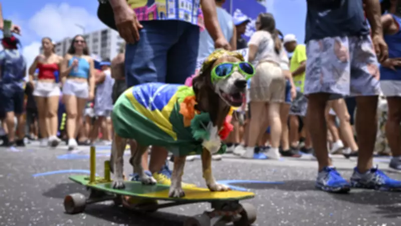 Fantasias Caninas Encantam o Mundo: Cães Vestidos de Super-Heróis e Celebridades