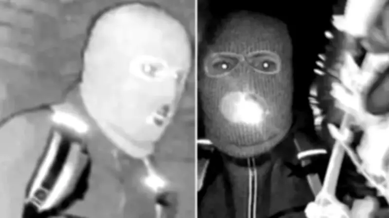 FBI divulga imagens de suspeito de sequestrar mãe da jornalista Savannah Guthrie