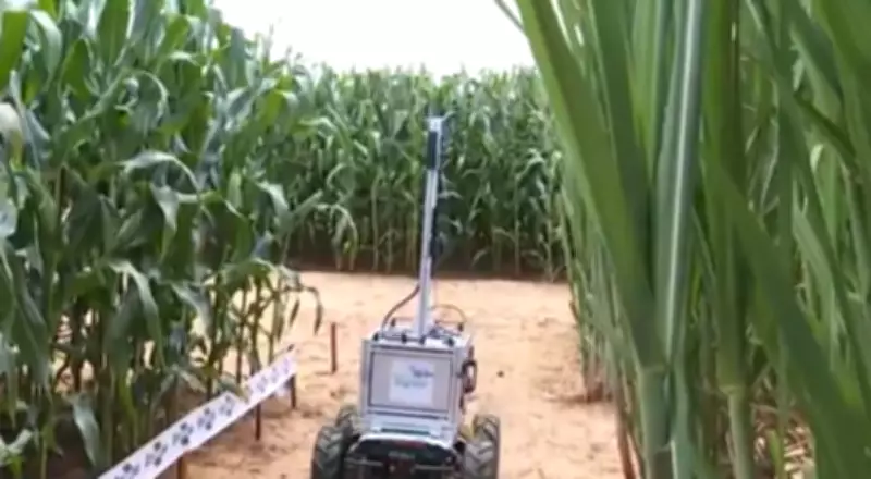 Feira de tecnologia agrícola apresenta protetor solar para frutas e robô com IA