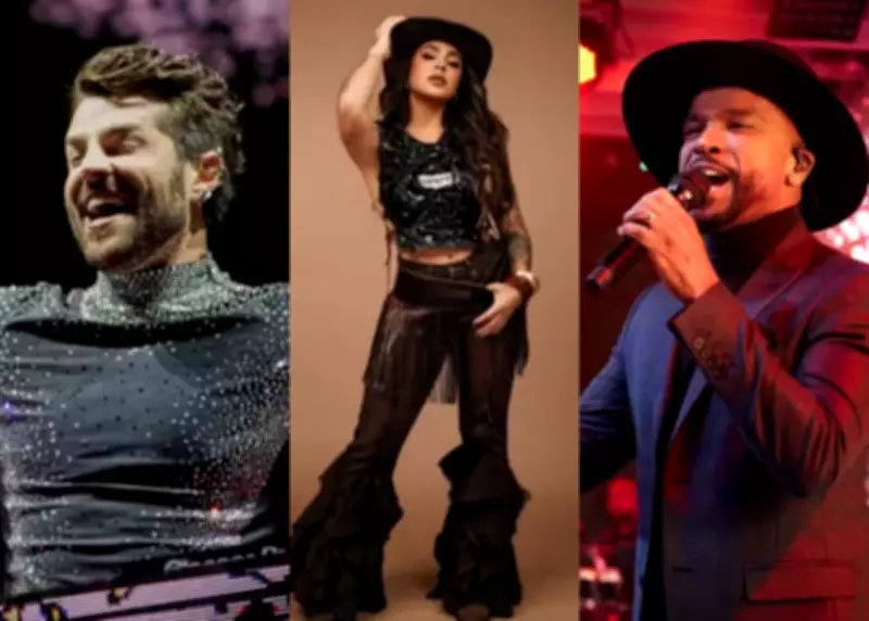 Festa do Pinhão 2026 em Lages anuncia atrações como Alok e Lauana Prado