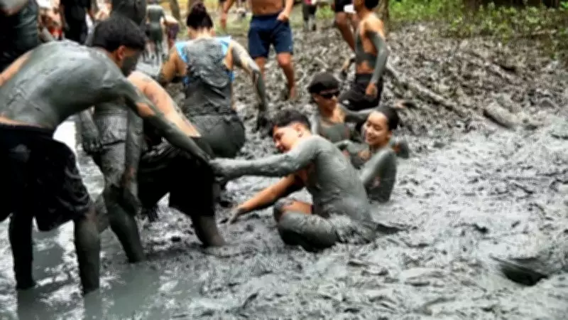 Festa Pretinhos do Mangue une folia e preservação ambiental no Pará