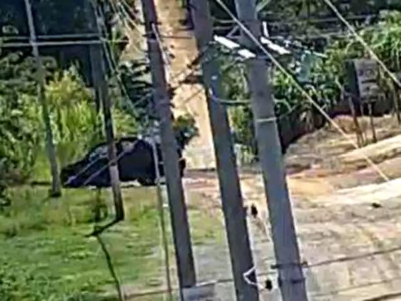 Filha e namorado confessam crime passional contra empresário em Campinas após cinco anos