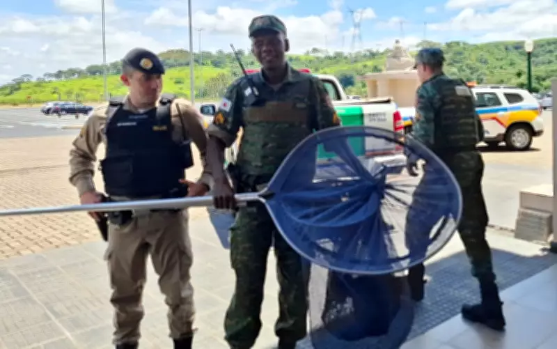 Filhote de Jaguatirica é Resgatada em Santuário de Cássia (MG) Após Entrar em Templo