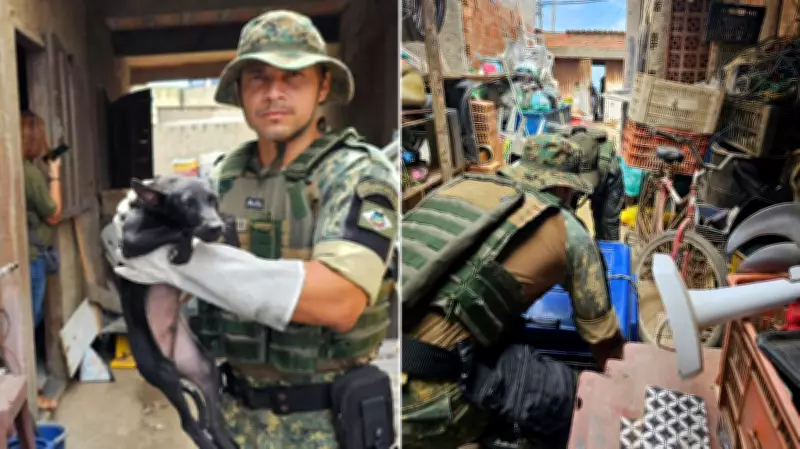 Filhote morto em decomposição é achado em casa nobre de Cabo Frio; 15 animais resgatados