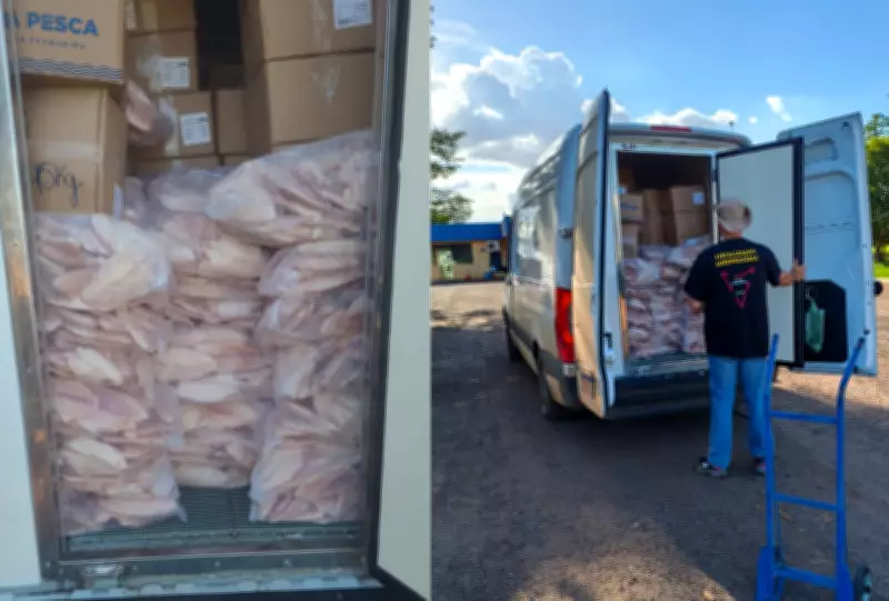 Fiscalização apreende 1,3 tonelada de pescados falsificados em rodovia de MS