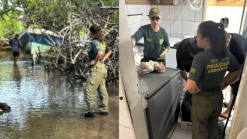 Fiscalização apreende 30 kg de caranguejo-uçá em Luís Correia durante defeso no Piauí
