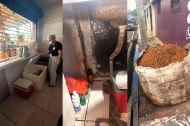 Fiscalização interdita pontos de venda de açaí em Ananindeua após surto de Doença de Chagas