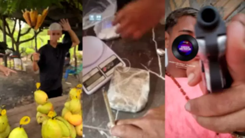 Foragido da Justiça é preso ao vender milho como fachada para tráfico de drogas no Piauí