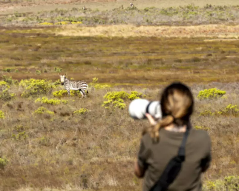 Fotógrafa brasileira capta beleza e brutalidade da vida selvagem em expedição à África do Sul