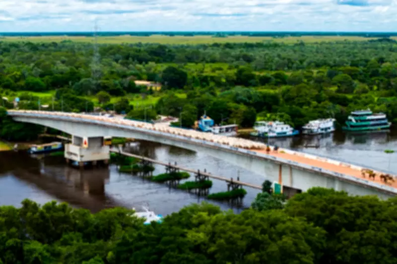 Fotógrafo captura comitiva de 1,5 mil animais no Pantanal de Mato Grosso do Sul