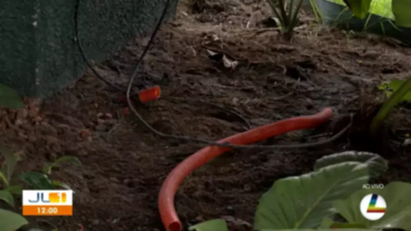 Furto de cabos de energia afeta obras da COP 30 na Nova Doca, em Belém