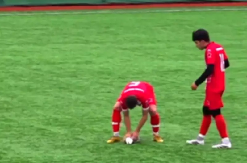 Gaivota é atingida por bola e salva com massagem cardíaca por capitão em jogo na Turquia