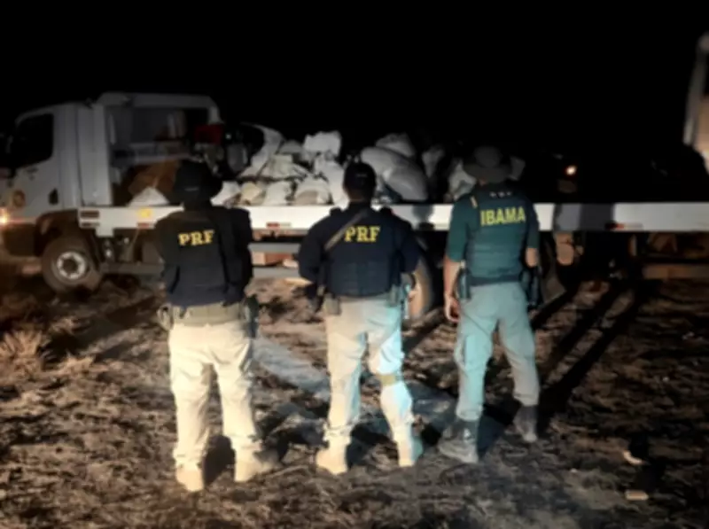 Garimpeiro preso com 1 tonelada de ouro e cianeto próximo à Terra Indígena Raposa Serra do Sol em Roraima