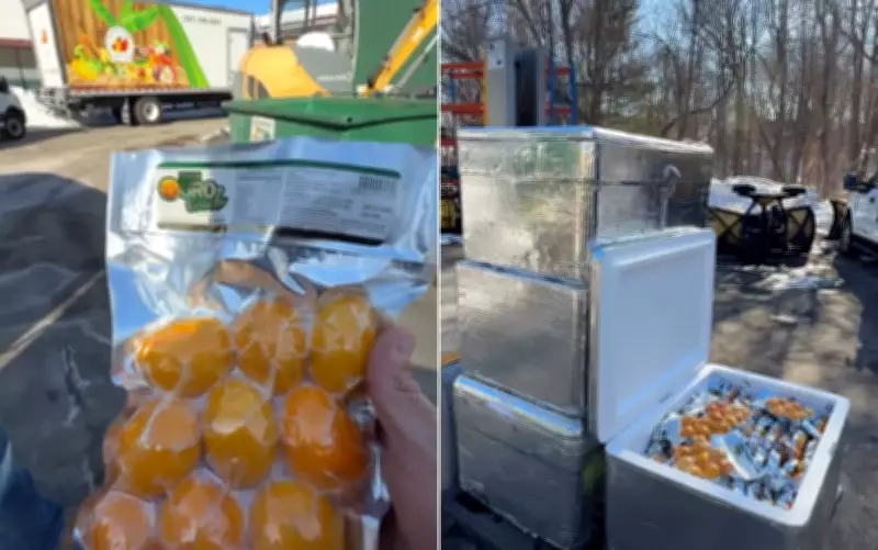 Goiano leva pequi e frutas brasileiras para os Estados Unidos com sucesso