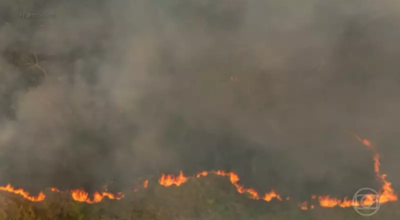 Governador de Rondônia sanciona lei que concede descontos em multas ambientais