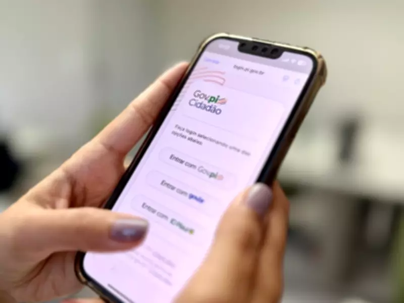 Gov.pi Cidadão é aliado essencial para segurança e lazer no Carnaval do Piauí