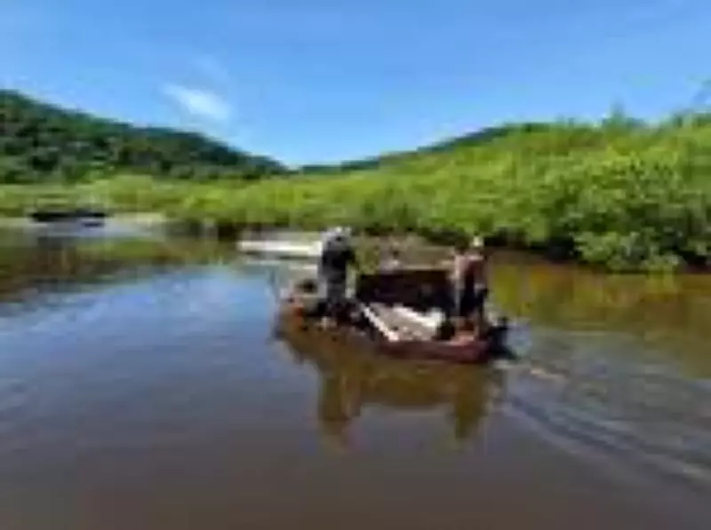 Guarujá lidera retirada de lixo em manguezais com programa que remunera pescadores