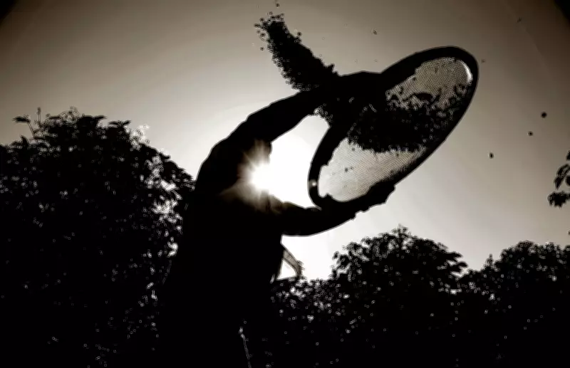 Guaxupé (MG) lança projeto para se tornar destino gastronômico regional com identidade histórica