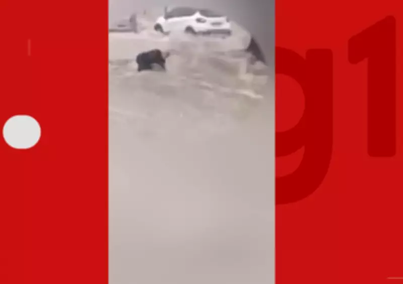 Homem é arrastado por enxurrada durante temporal em Vitória da Conquista, BA