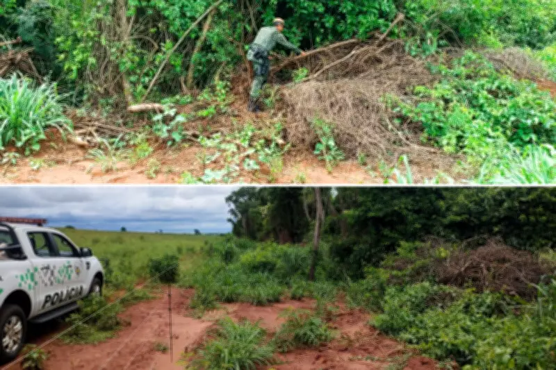 Homem é multado em mais de R$ 5 mil por supressão de vegetação nativa em fazenda de Salmourão (SP)