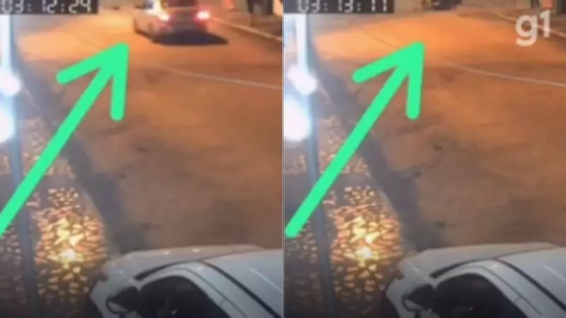 Homem atropela e mata cadela da família de ex-namorada em Imperatriz, MA