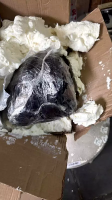 Homem de 59 anos é preso com 1,2 kg de skunk e ecstasy em operação policial no RJ