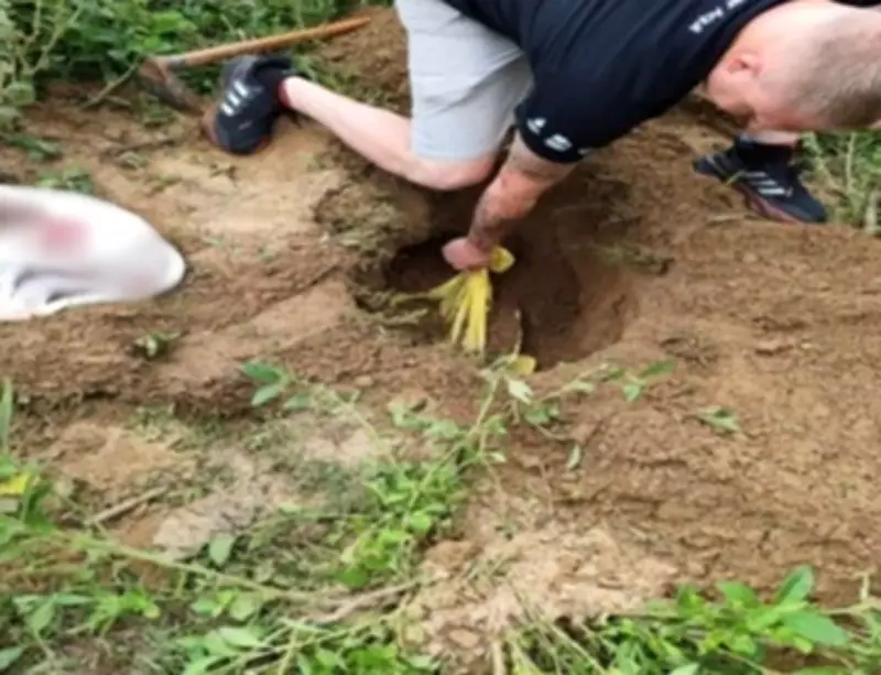 Homem de 63 anos é preso por matar dois cães a golpes de machado e enterrar corpos em Timbó