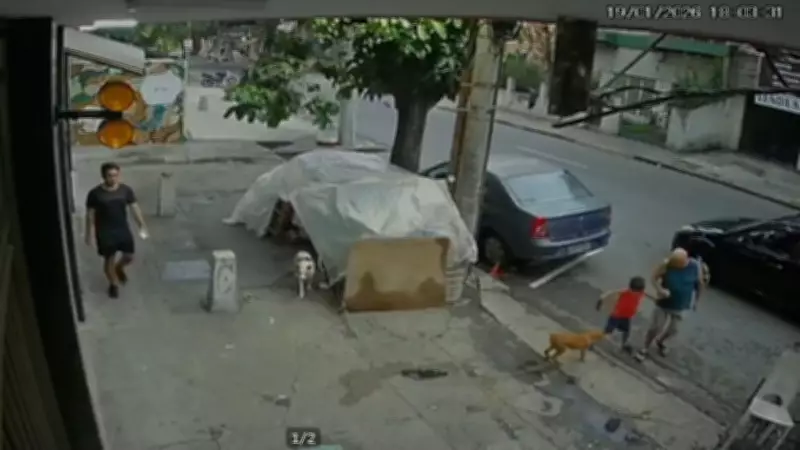 Homem em situação de rua é preso após usar cães para atacar pedestres na Tijuca, Rio