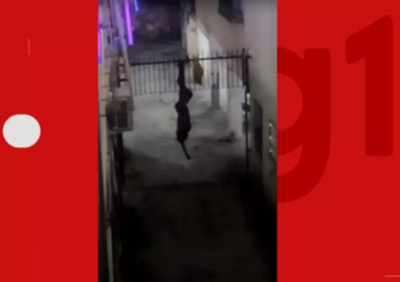 Homem fica preso em grade de prédio ao tentar fugir após invasão em bairro nobre de Salvador