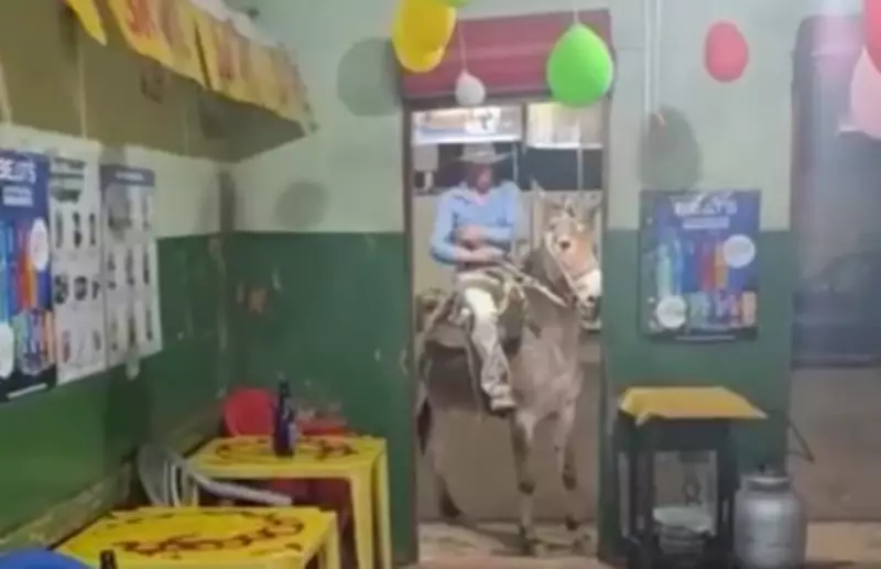 Homem força mula a entrar em bar com chicotadas em Ribeirão Corrente, SP